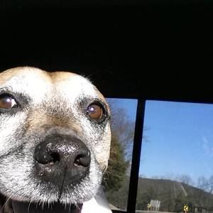 Meet your Posher, Mimsi