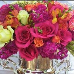 Meet your Posher, Tracie