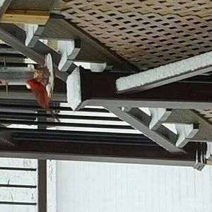 Meet your Posher, Barbara