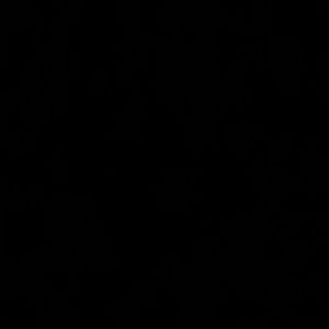 Meet your Posher, Dex