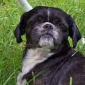 Meet your Posher, Scott