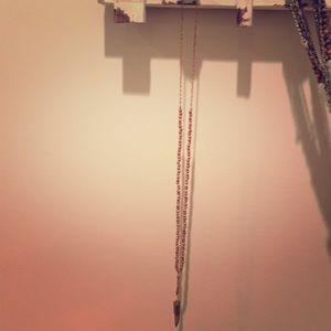 Long brown horn charm necklace