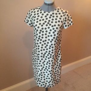 Polka dot jcrew dress