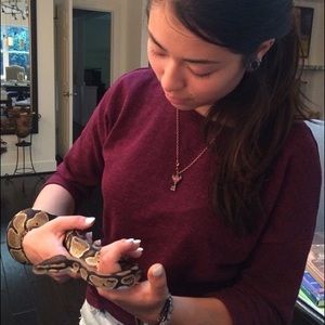 Meet your Posher, Molly