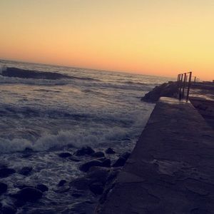 Meet your Posher, Zoey