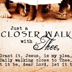 Meet your Posher, Charlotte