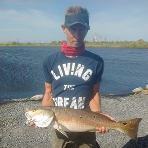 Meet your Posher, Terrence