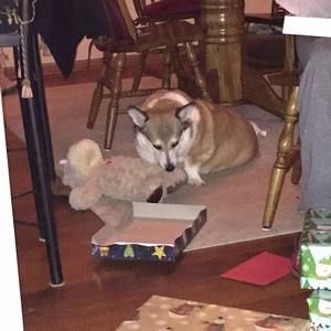 Meet your Posher, Sue