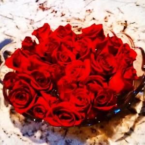 Meet your Posher, Toni