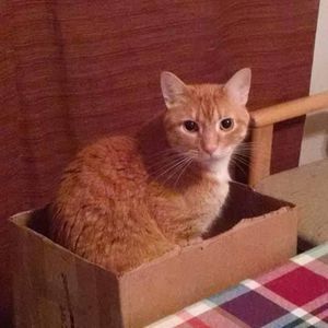 Meet your Posher, Tammy