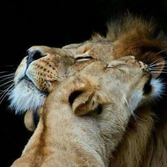 Meet your Posher, Lori - Picture 1 of 1