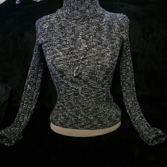 Express turtle neck sweater