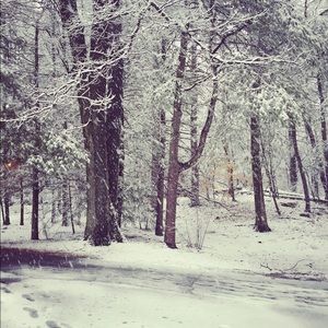 Meet your Posher, Xiao