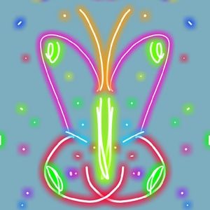 Meet your Posher, Cindi