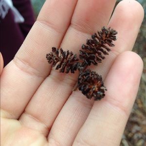 Meet your Posher, Arlie