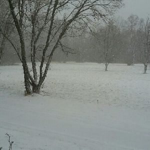 Meet your Posher, Deanna