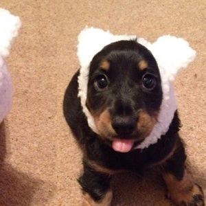 Meet your Posher, Raelyn