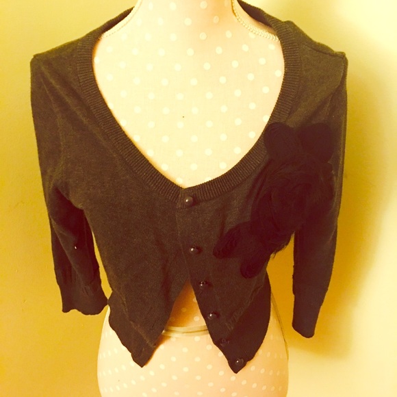 Cute Crop Jacket