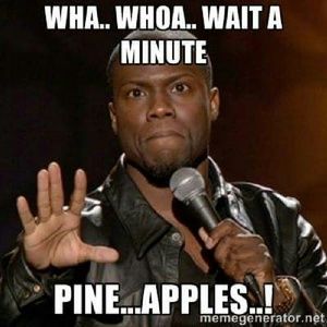 Meet your Posher, Jeffrey