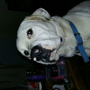 Meet your Posher, Jesse