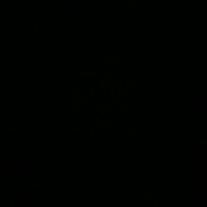 Meet your Posher, Teri