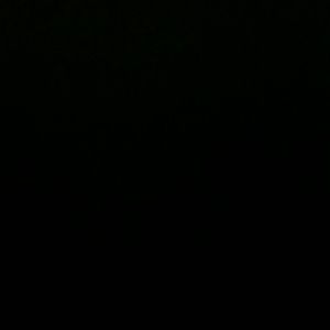 Meet your Posher, Tanya