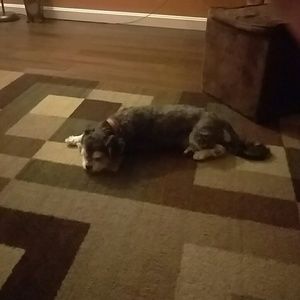 Meet your Posher, Kelli