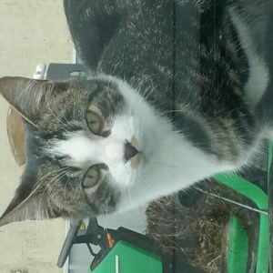 Meet your Posher, Vicki