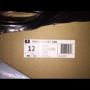 Yeezy Boost 350 Pirate Black Size 12
