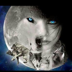 Meet your Posher, Diego