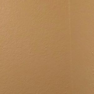 Meet your Posher, Dam