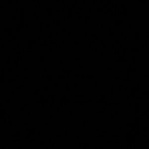 Meet your Posher, Pedro