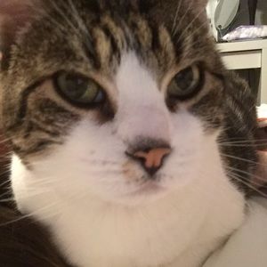 Meet your Posher, Briannr