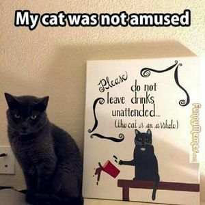 Meet your Posher, Shanee