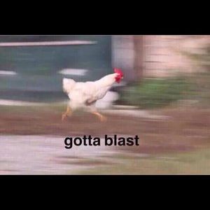 Meet your Posher, Cierra