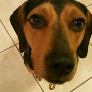 Meet your Posher, Karina