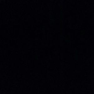 Meet your Posher, Samuel