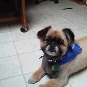 Meet your Posher, Todd