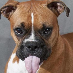 Meet your Posher, Teresa