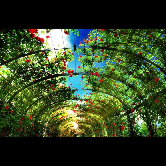 Bundle and save π - Picture 3 of 3