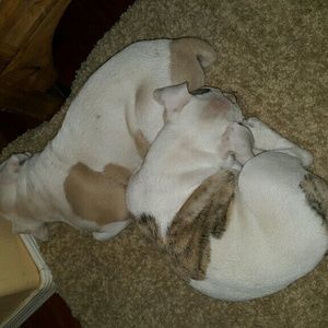 Meet your Posher, Cassy