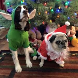 Meet your Posher, Colleen