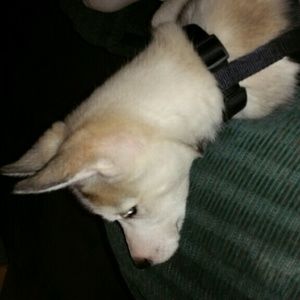 Meet your Posher, Aaron