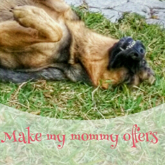 Zeus likes offers $ More Treats for Him $