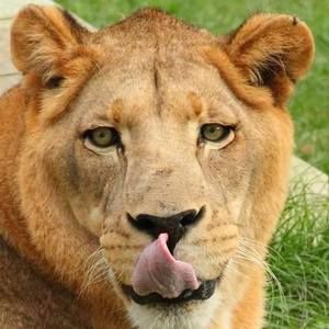 Meet your Posher, Jacqueline