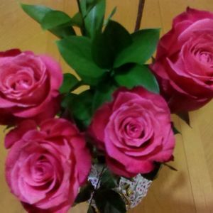 Meet your Posher, Sugey