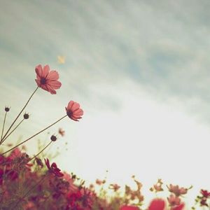 Meet your Posher, Chloe