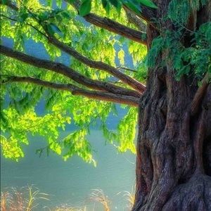 Meet your Posher, Sherry