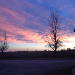 Meet your Posher, Rhachel