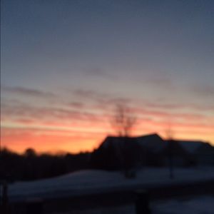 Meet your Posher, Ella